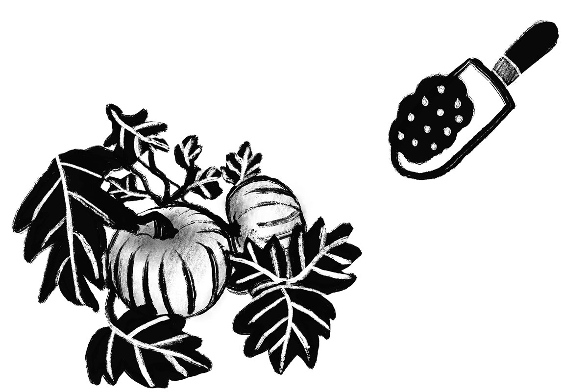 pumpkin-illustration-1200px.jpg